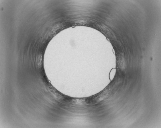 X0000088200660200706051233