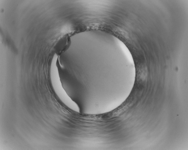 X0000088200661200706051233