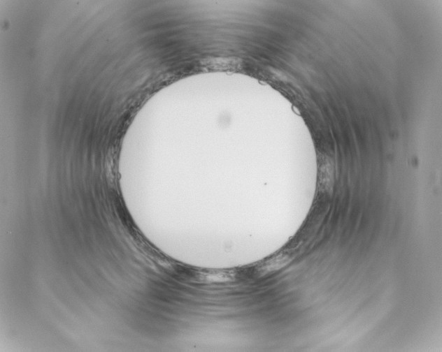 X0000088200662200706051233