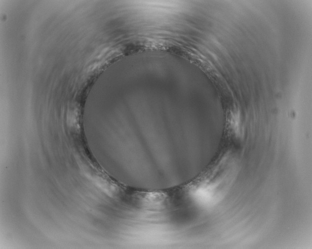 X0000088200663200706051233