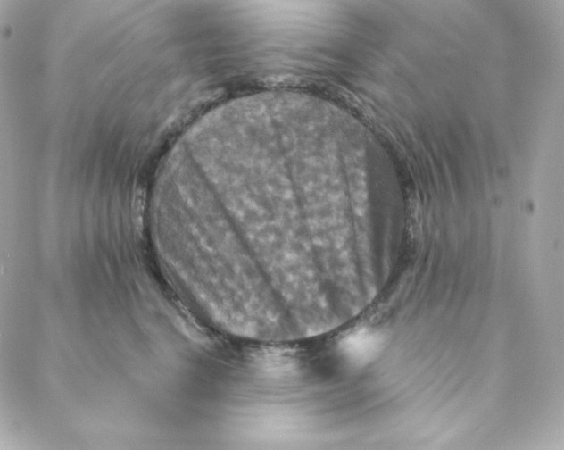 X0000088200664200706051233