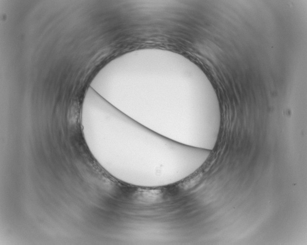 X0000088200665200706051233