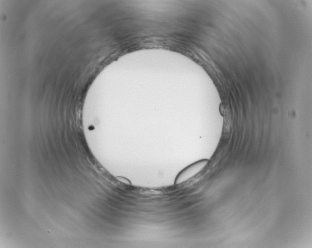 X0000088200669200706051233