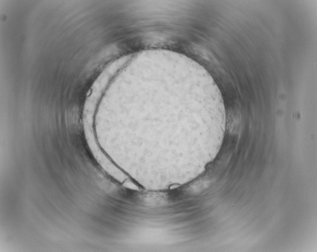 X0000088200670200706051233