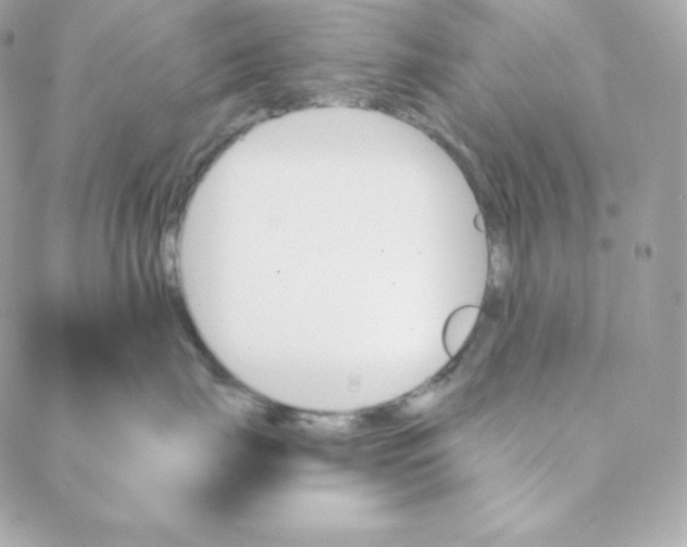 X0000088200671200706051233