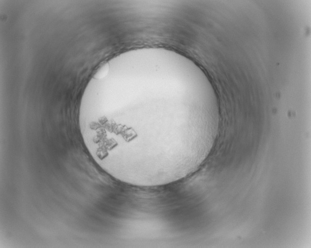 X0000088200672200706051233