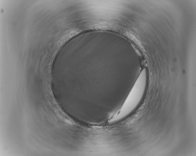 X0000088200673200706051232