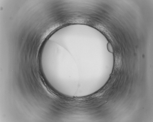 X0000088200674200706051232