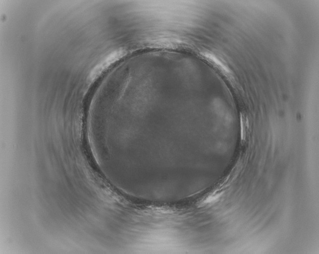 X0000088200675200706051232