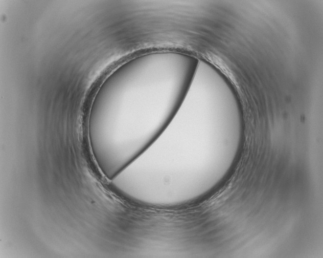 X0000088200676200706051232