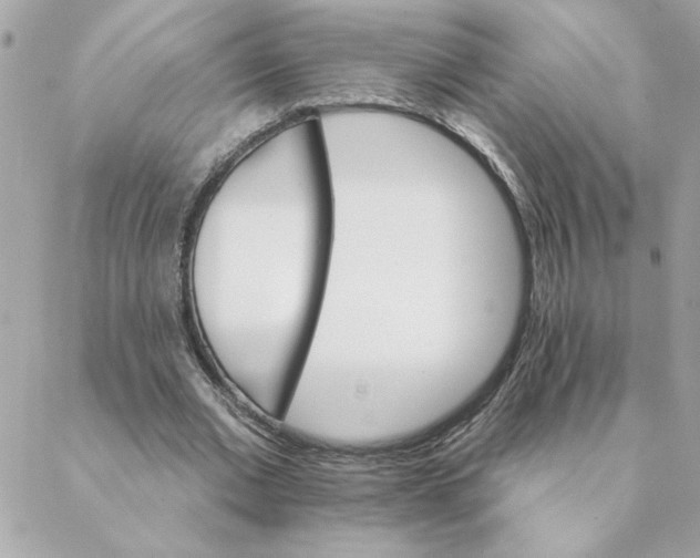 X0000088200677200706051232