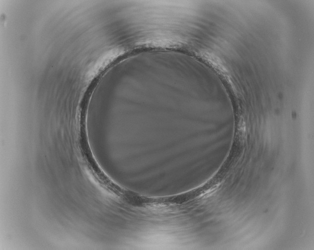 X0000088200678200706051232