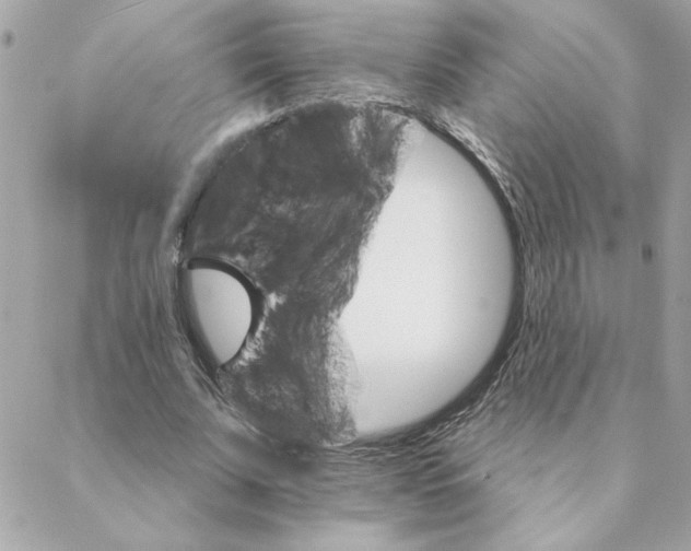 X0000088200679200706051232