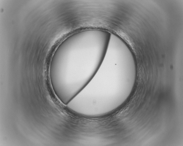 X0000088200680200706051232