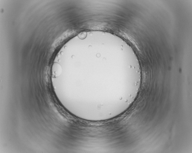 X0000088200682200706051232