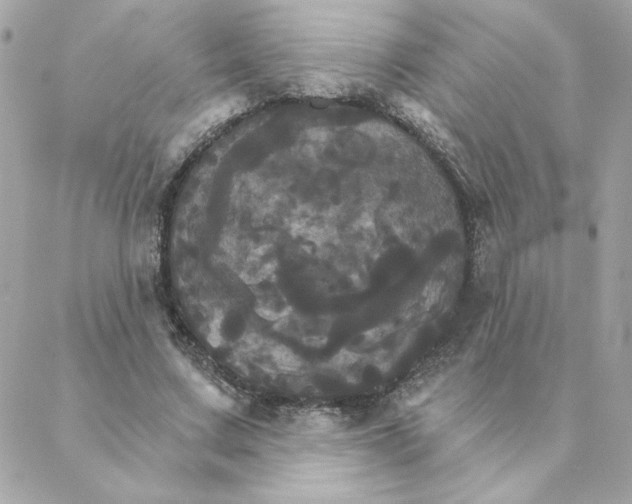 X0000088200683200706051232