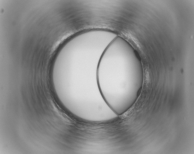 X0000088200684200706051232