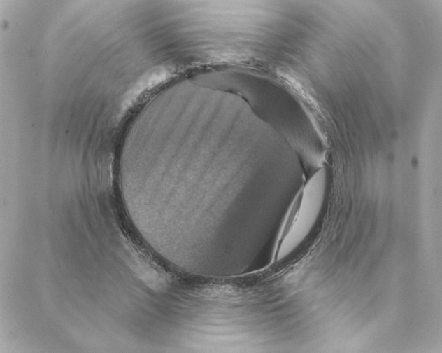 X0000088200685200706051232