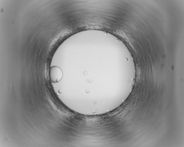 X0000088200686200706051232