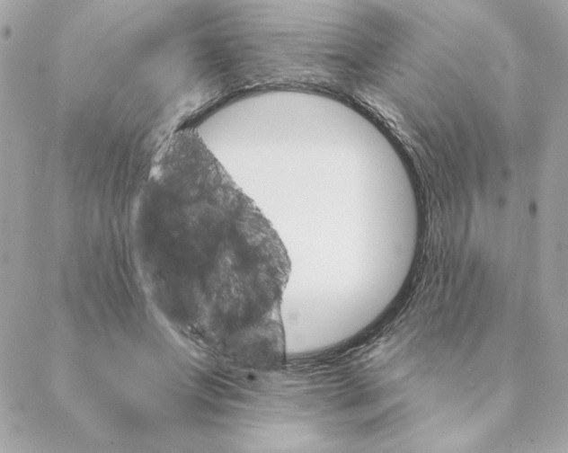 X0000088200687200706051232