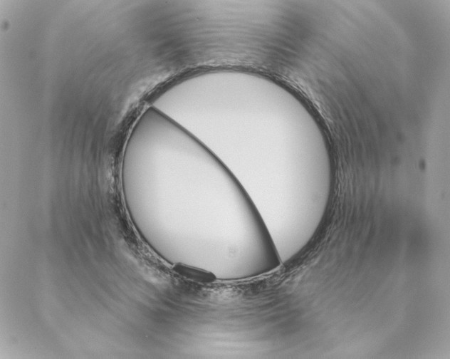 X0000088200688200706051232