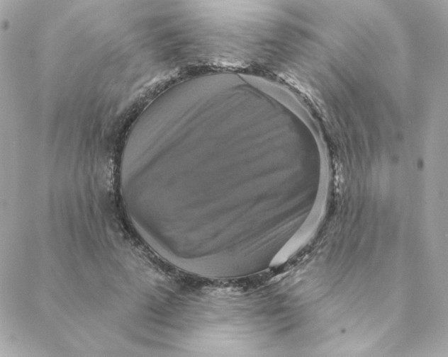 X0000088200689200706051232