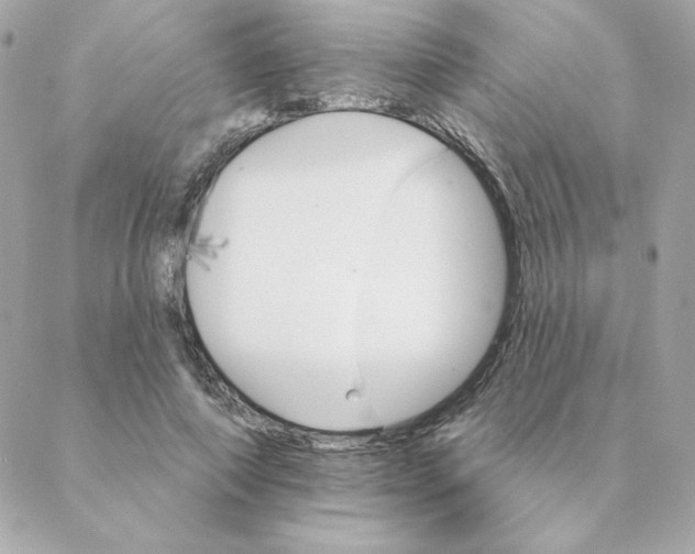 X0000088200690200706051232