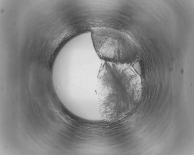 X0000088200691200706051232