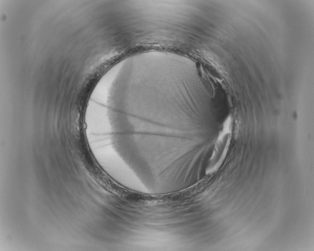 X0000088200692200706051232