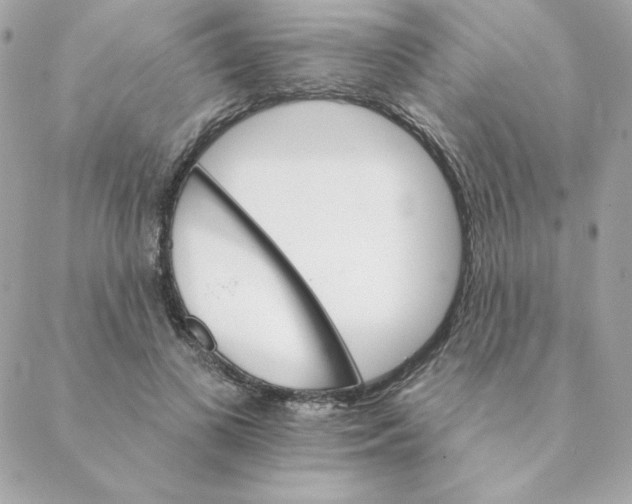 X0000088200693200706051232