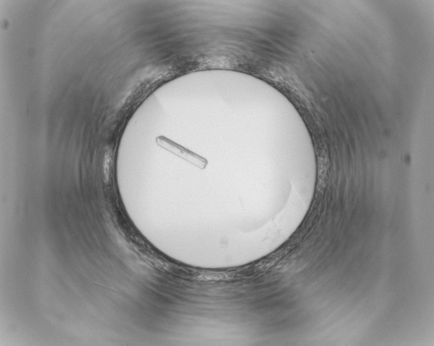 X0000088200694200706051232