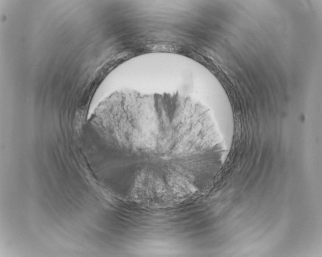 X0000088200695200706051232