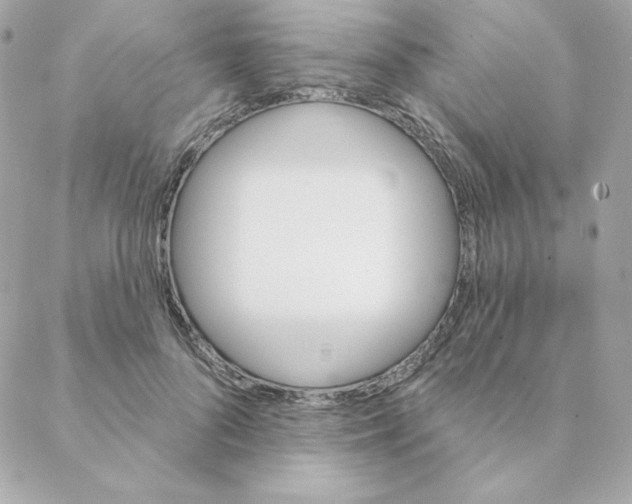 X0000088200696200706051232