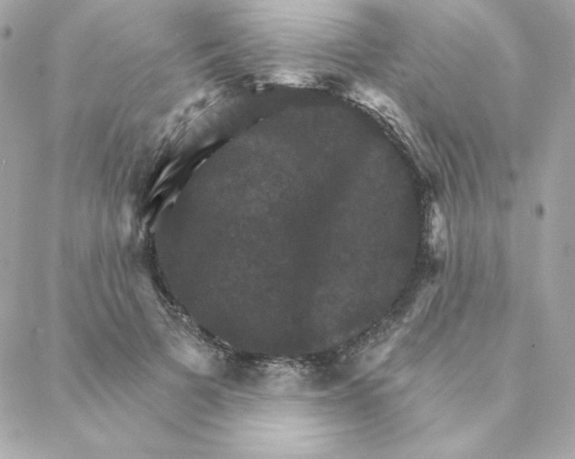 X0000088200697200706051232