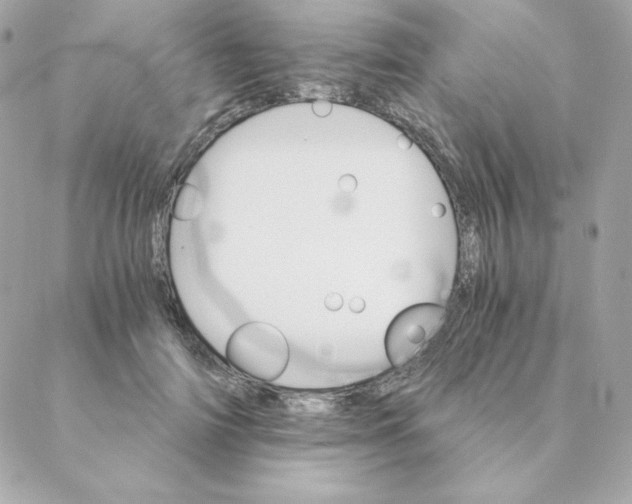 X0000088200698200706051232