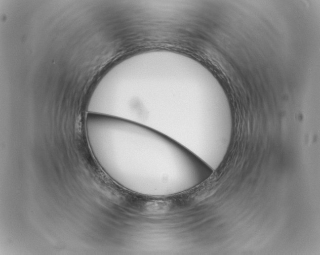 X0000088200700200706051232