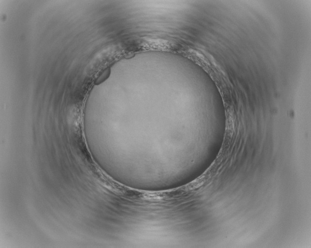 X0000088200701200706051232