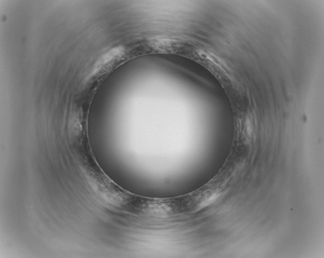 X0000088200702200706051232