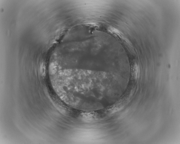 X0000088200703200706051232