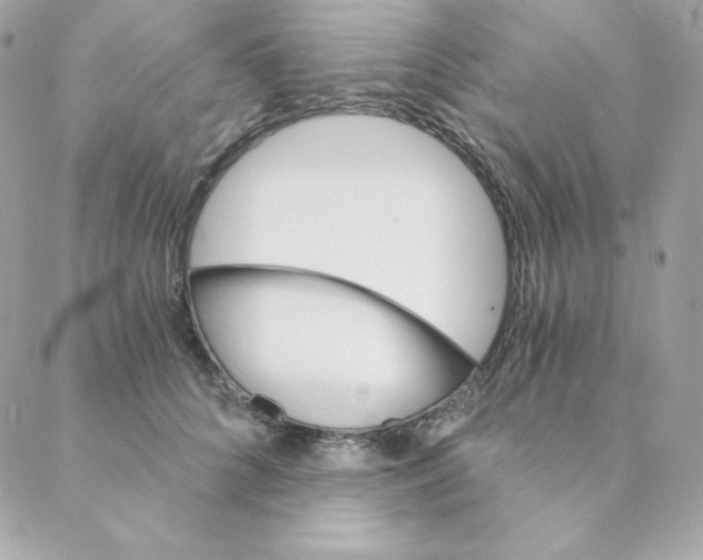 X0000088200704200706051232