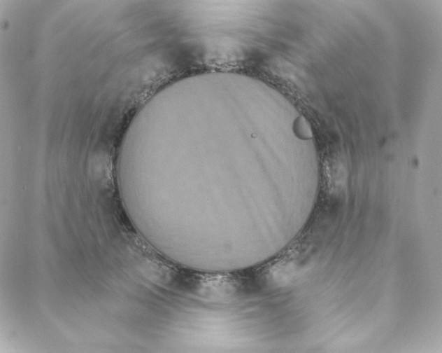 X0000088200705200706051232