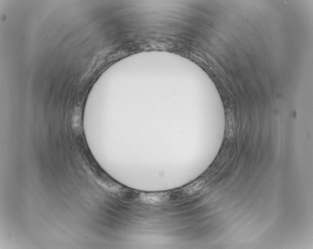 X0000088200706200706051232