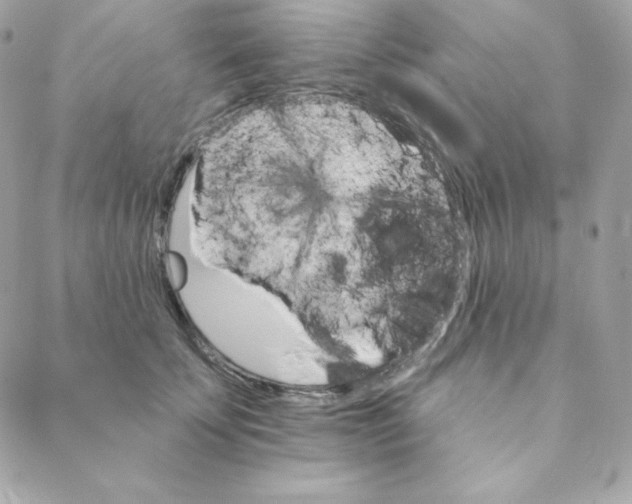 X0000088200707200706051232