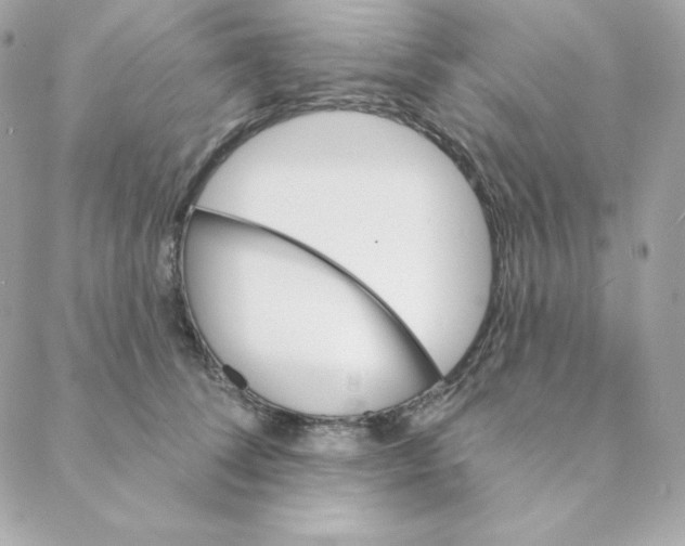 X0000088200708200706051232