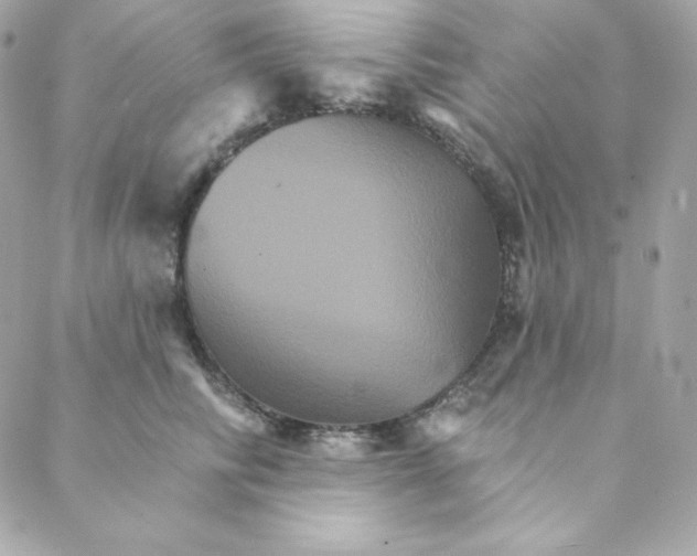 X0000088200710200706051232