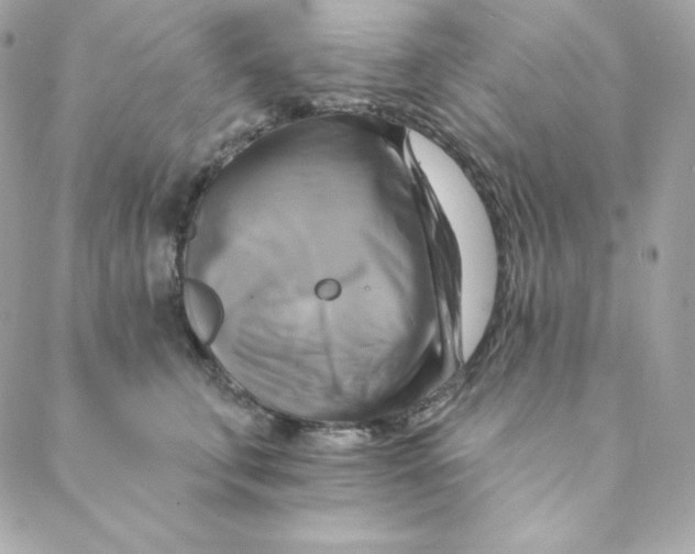 X0000088200711200706051232