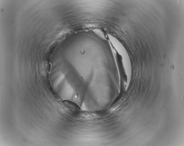 X0000088200712200706051232