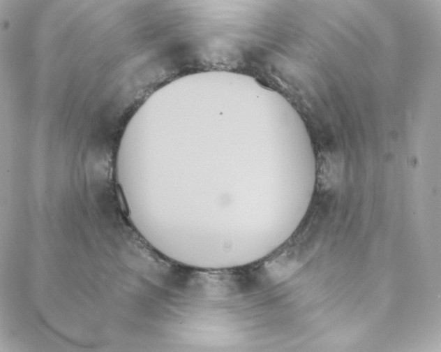 X0000088200713200706051232