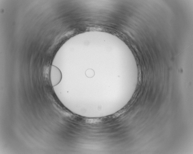 X0000088200714200706051232