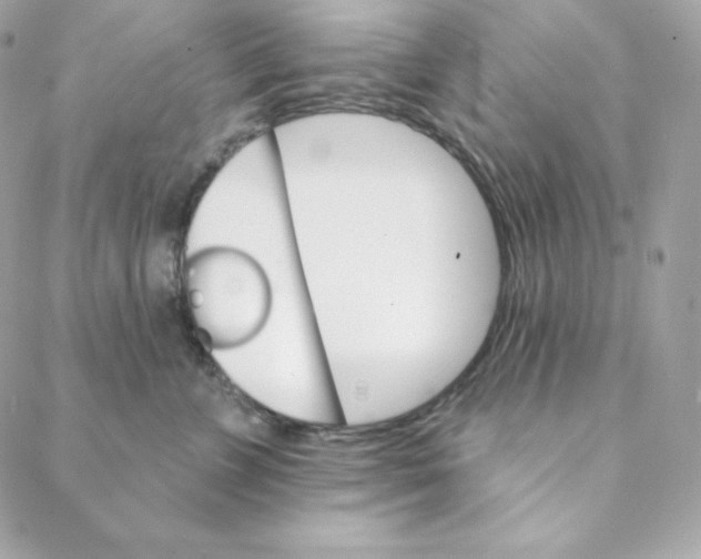 X0000088200715200706051232